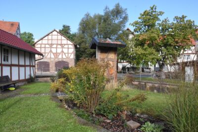 Blühstreifen am Mühlengraben