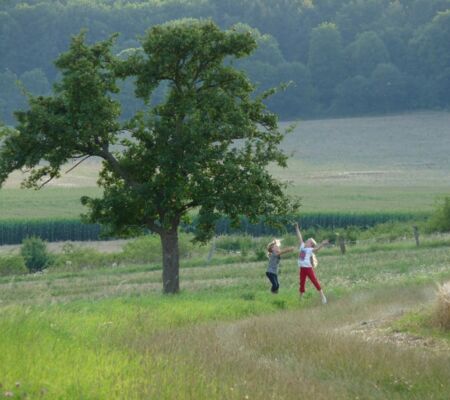 Kinder spielen auf dem Feld