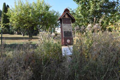 Blühstreifen/Insektenhotel