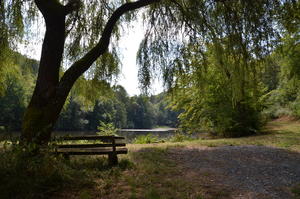 Schnepfenbachweiher, Foto: Carsten Filges